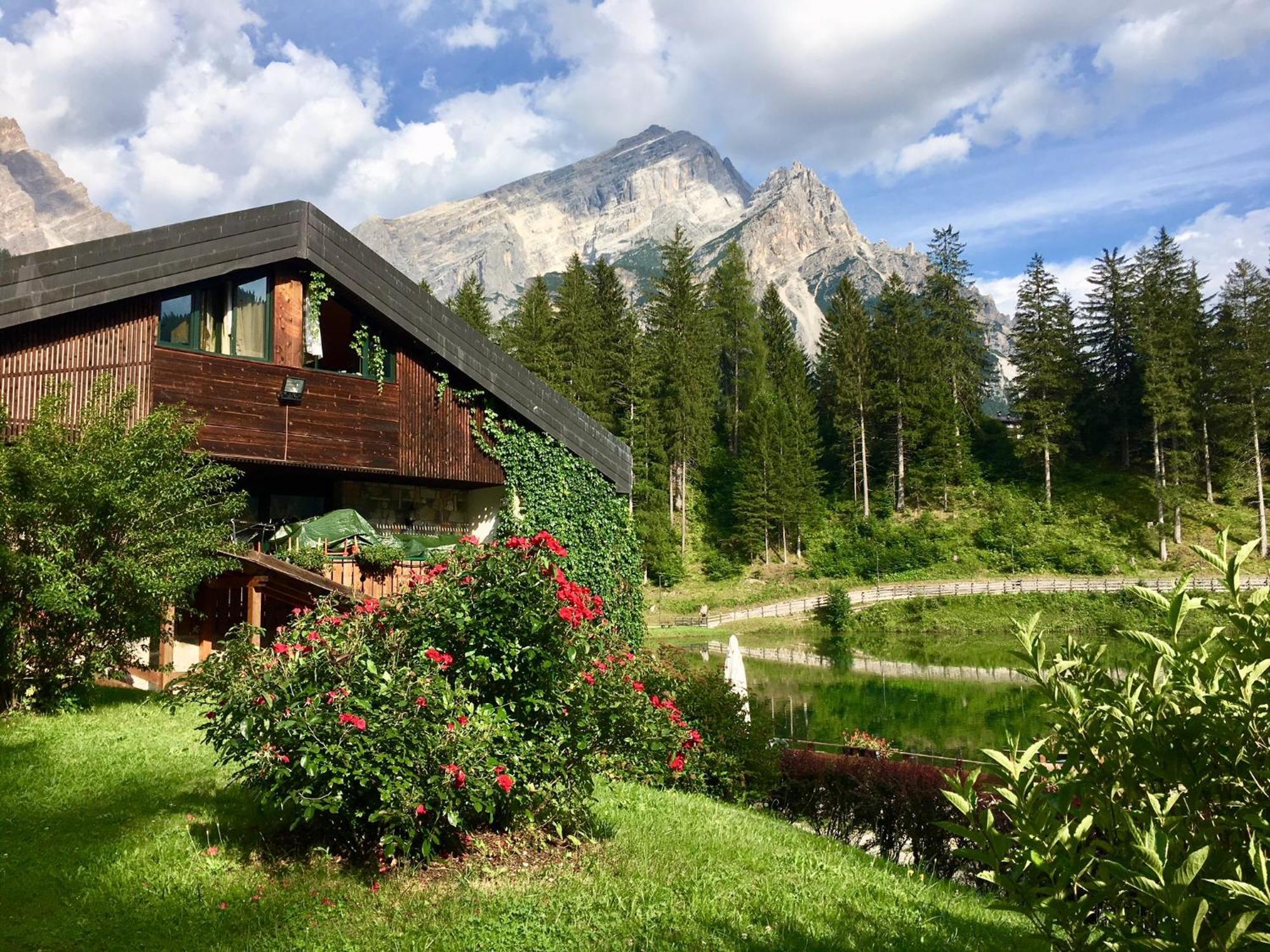 Parkhotel Ladinia San Vito di Cadore Eksteriør billede