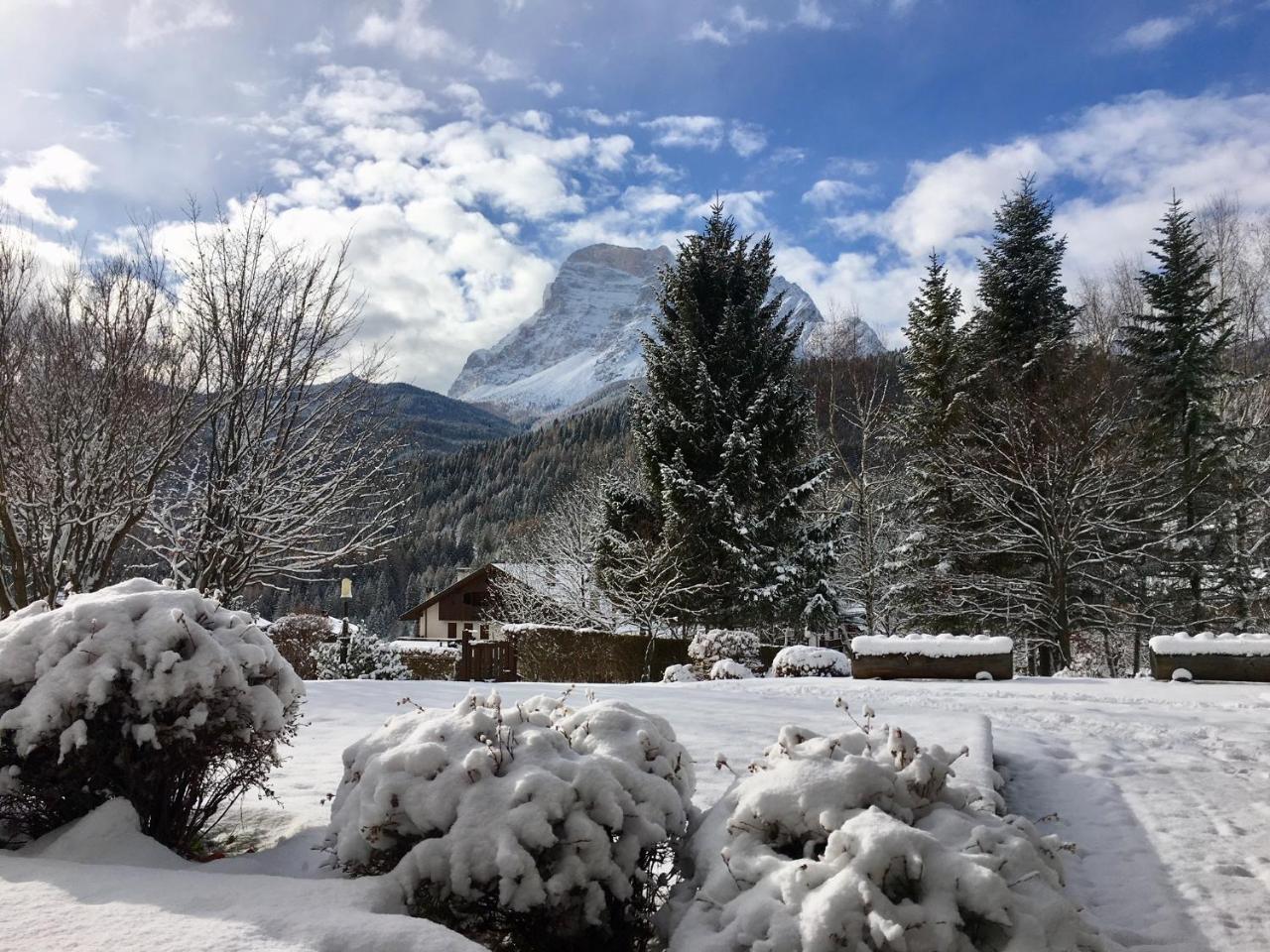 Parkhotel Ladinia San Vito di Cadore Eksteriør billede